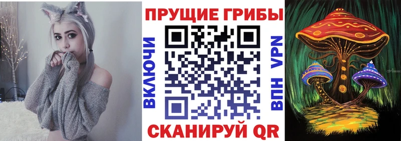 kraken ССЫЛКА  Аргун  Псилоцибиновые грибы GOLDEN TEACHER 
